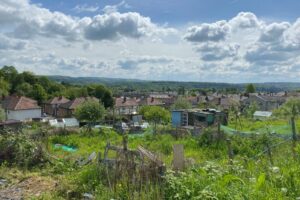 Allotment view